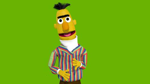 Bert muppet sesame street. preview image
